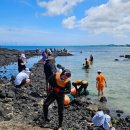 제주블루스 이미지