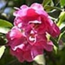 사량중학교 이미지