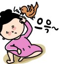 다팜몰 이미지