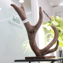 수월한의원 이미지