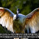 [성경필사] 이 땅위에 오신 _ 2023.09.15 _ 금요일에 주신 말씀 이미지