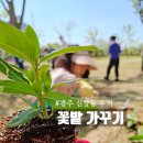 광주 신창동 유적 | 광주 광산구 신창동 유적 꽃밭 가꾸기 후기 : 아이와 함께 꽃 피운 신창동 마한유적체험관