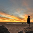 탑온라인 이미지