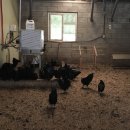 계만농장 이미지