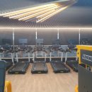 매일스포렉스 이미지