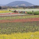 박지호농장 이미지