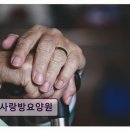 동백요양병원 | 용인시 요양원 추천! 사랑방요양원 동백역 인접, 접근성 뛰어남