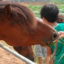 샘터목장 이미지