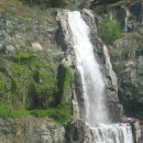 용마약국 이미지