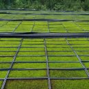 제이가든 이미지