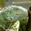 신세계동물병원 이미지