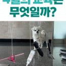 털로덮인친구들 수원시청역점 이미지