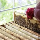 김수정농장 이미지