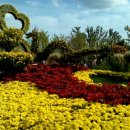 모텔정원 이미지