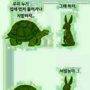 토끼와거북이 이미지