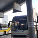 인창고주변도로 | 일상 ✿ 1박2일 전북 군산 여자 혼자 뚜벅이 여행 - 예쁜 국내 여행지, 그래서인지 커플 많더라,,^^