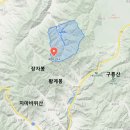 황*중 티스토리
