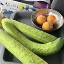 [동락점빵 이동장터 이야기] 6월 19일 운행기록 이미지