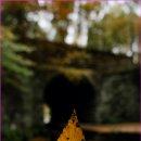 전골과  삼겹살 이미지