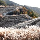 화왕산 이미지