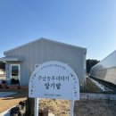 동읍706 | 주남농부더하기)딸기따기 체험하고 케이크도 만들고 왔어요🍓