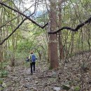 경기둘레길 가평18코스 | 경기둘레길 18코스 가평구간 *보아귀골~논남유원지* (25.10.21)