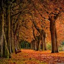 양업고등학교 이미지