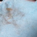 한대케미칼(주) 이미지