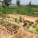 내방농장 이미지