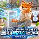 삼성 공기청정기 블루스카이 3100 실사용 후기! 원룸에서 체감 차이 있었던 이유[리뷰하는 제프]