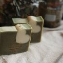 어성애견 이미지