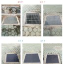 대운초등학교 이미지