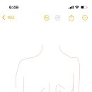 베베시앙 이미지