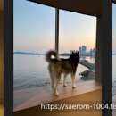 애코랜드 이미지