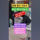 현장실무도배학원 이미지
