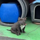 GS25 서귀중정점 이미지