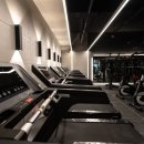 더베스트짐 이미지