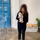 몽몽아강아지분양남양주 | 남양주강아지분양 FCI연맹4대혈통 비숑프리제분양후기정보!