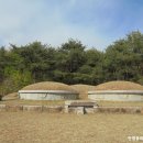 이윤경선생묘 및 신도비 티스토리
