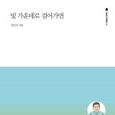 ＜빛 가운데로 걸어가면＞ 정민교 저 | 세움북스 | 2023 이미지