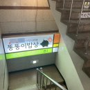 뚱뚱이식당 이미지