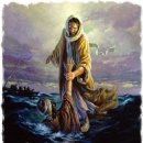 생명의 기쁨 이미지