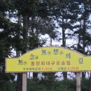 신안자연휴양림 Daum카페