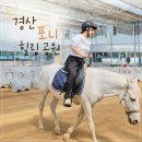 포니힐링관광민박 | 경산 아이와 가볼만한곳 포니 힐링 농원 재밌는 승마체험