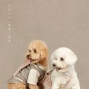 적담재 | 전주 에어비앤비 숙소 독채펜션 &#39;적담재&#39;