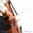 첼로파크 이미지