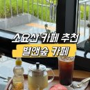 동두소요829 | [소요산 카페 추천] 동두천 가볼만한 뷰 맛집 별앤숲 카페