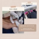 서울하내과의원 이미지