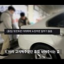 이노베이션신 | 당근 중고차 거래 방법 로체이노베이션 구매 후기 + 사기 당하지 않기