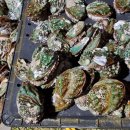 청산마을 이미지